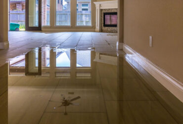 Home Flooded House Clean Up And Repair Card Image 1 E1738413223689